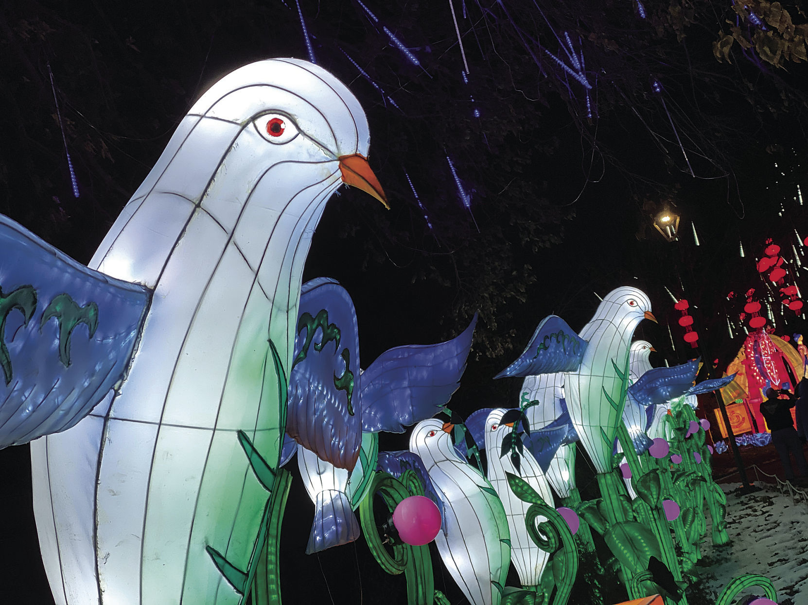 Lantern Festival 4